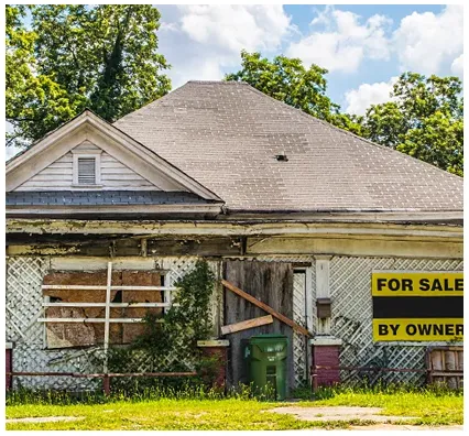 Hybrid Real Estate Investors: